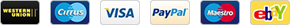 payment-footer1